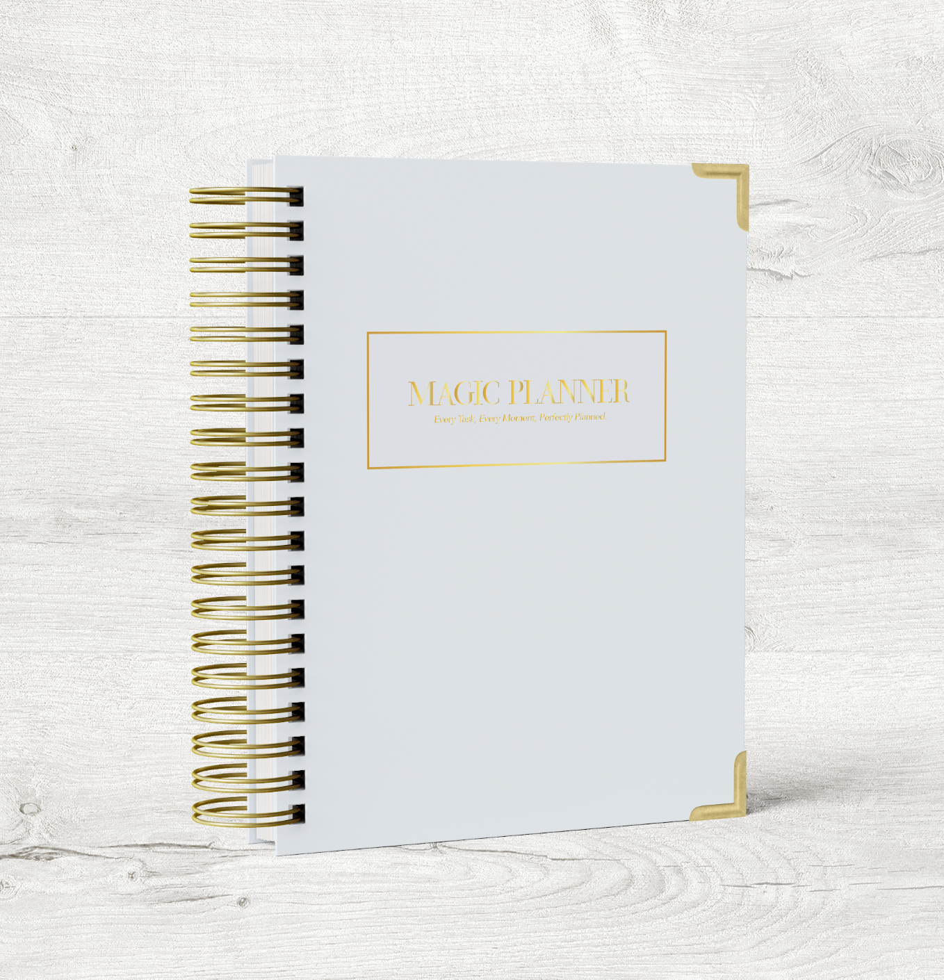 LETNI planer 2024 | Claire