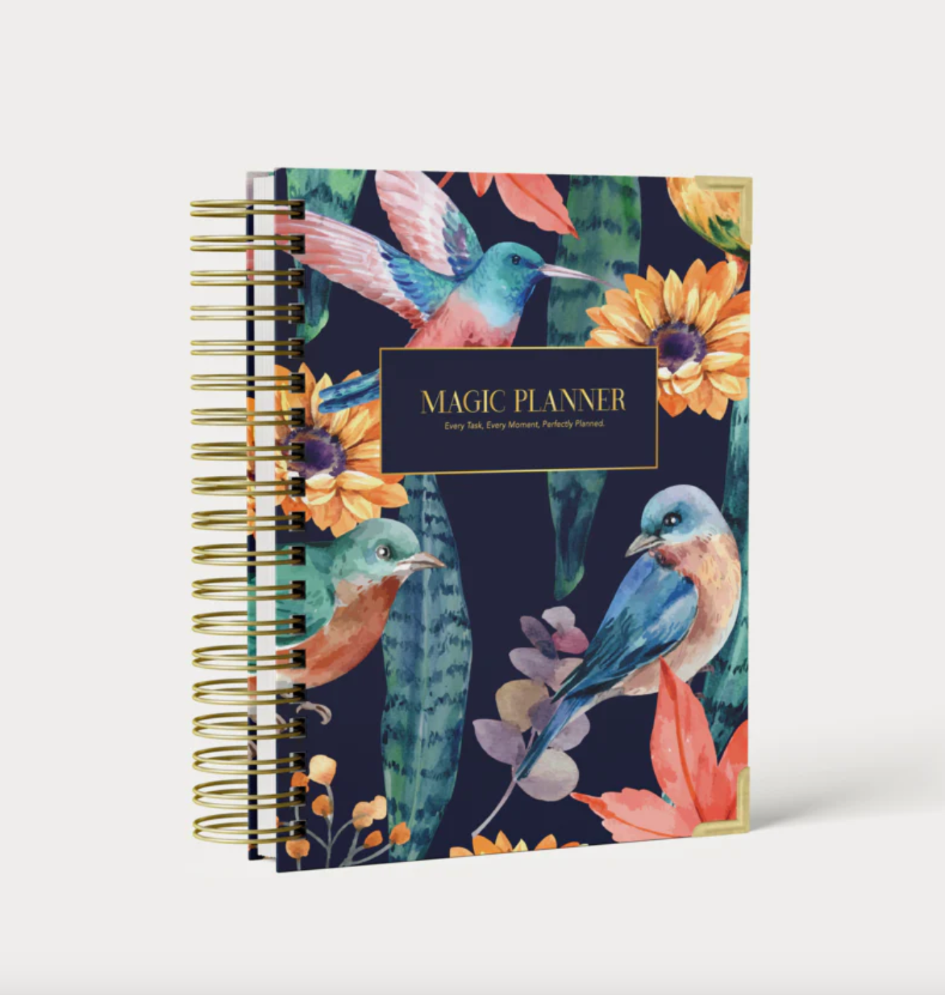 BLACK FRIDAY | družinski planer + koledar | 2024