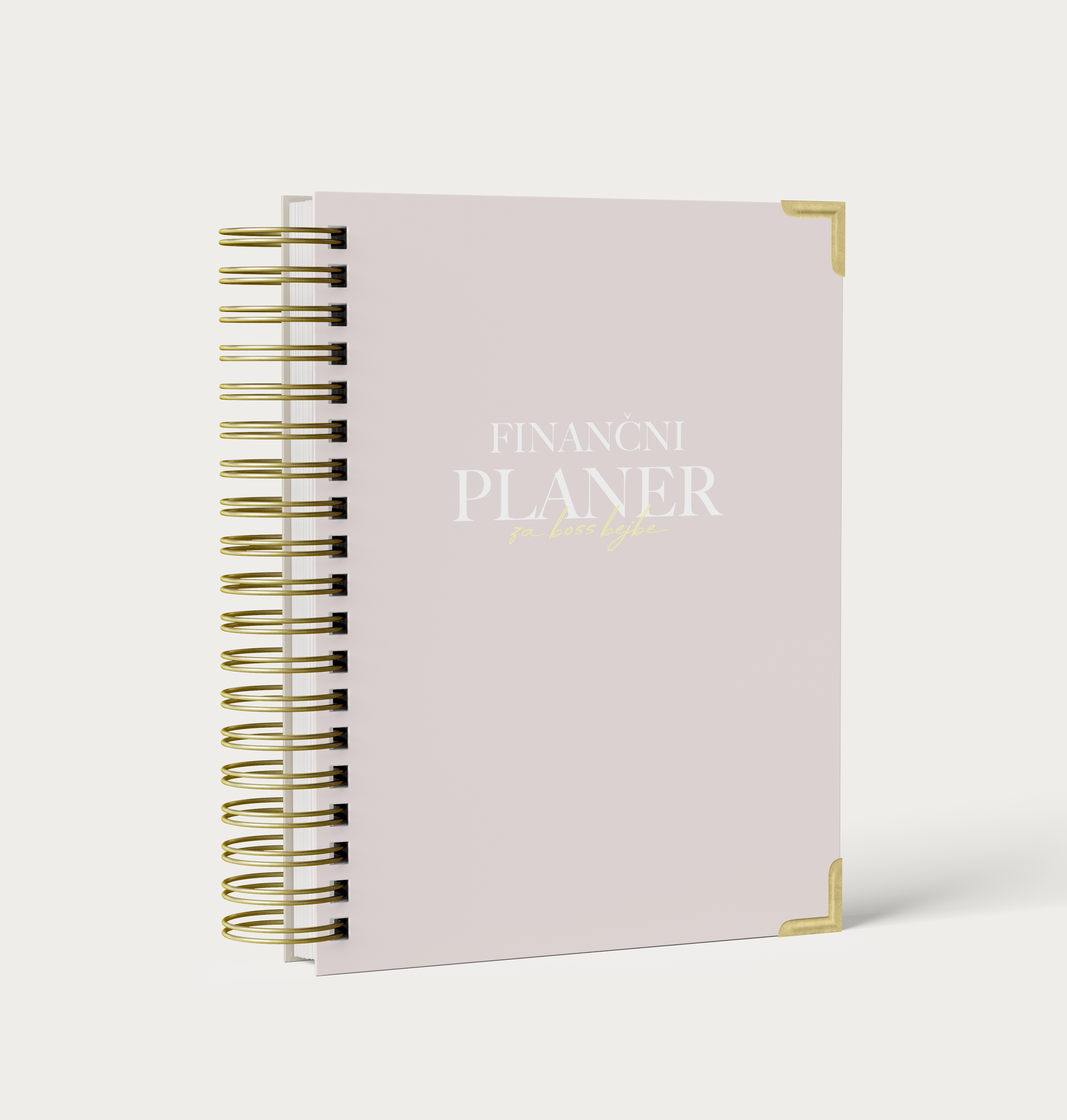 Finančni planer | 12-mesečni nedatirani planer za organizacijo financ