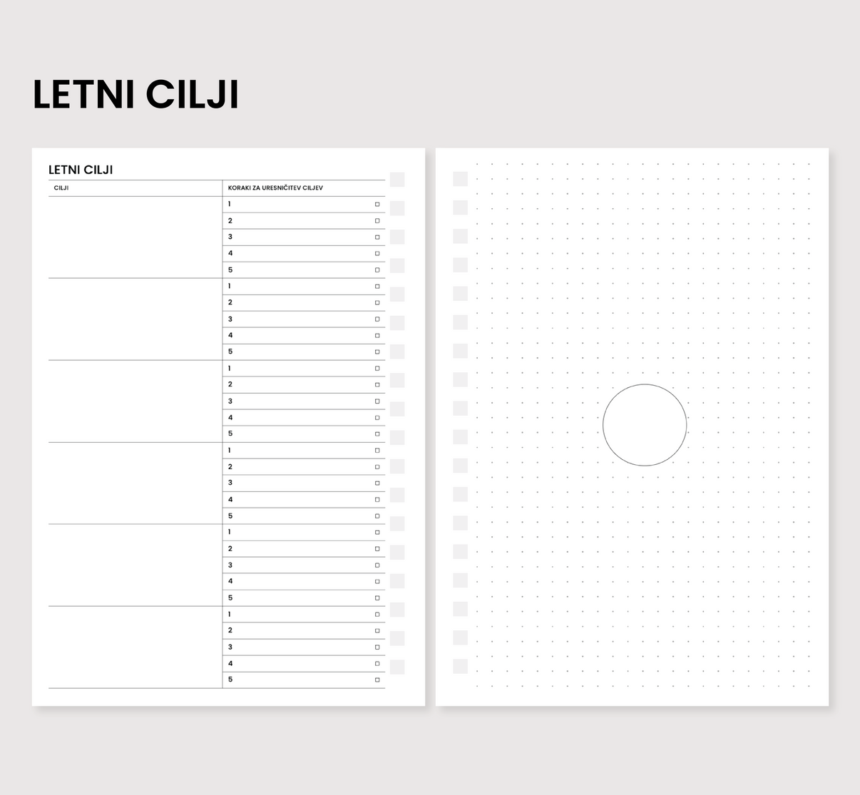 Letni cilji