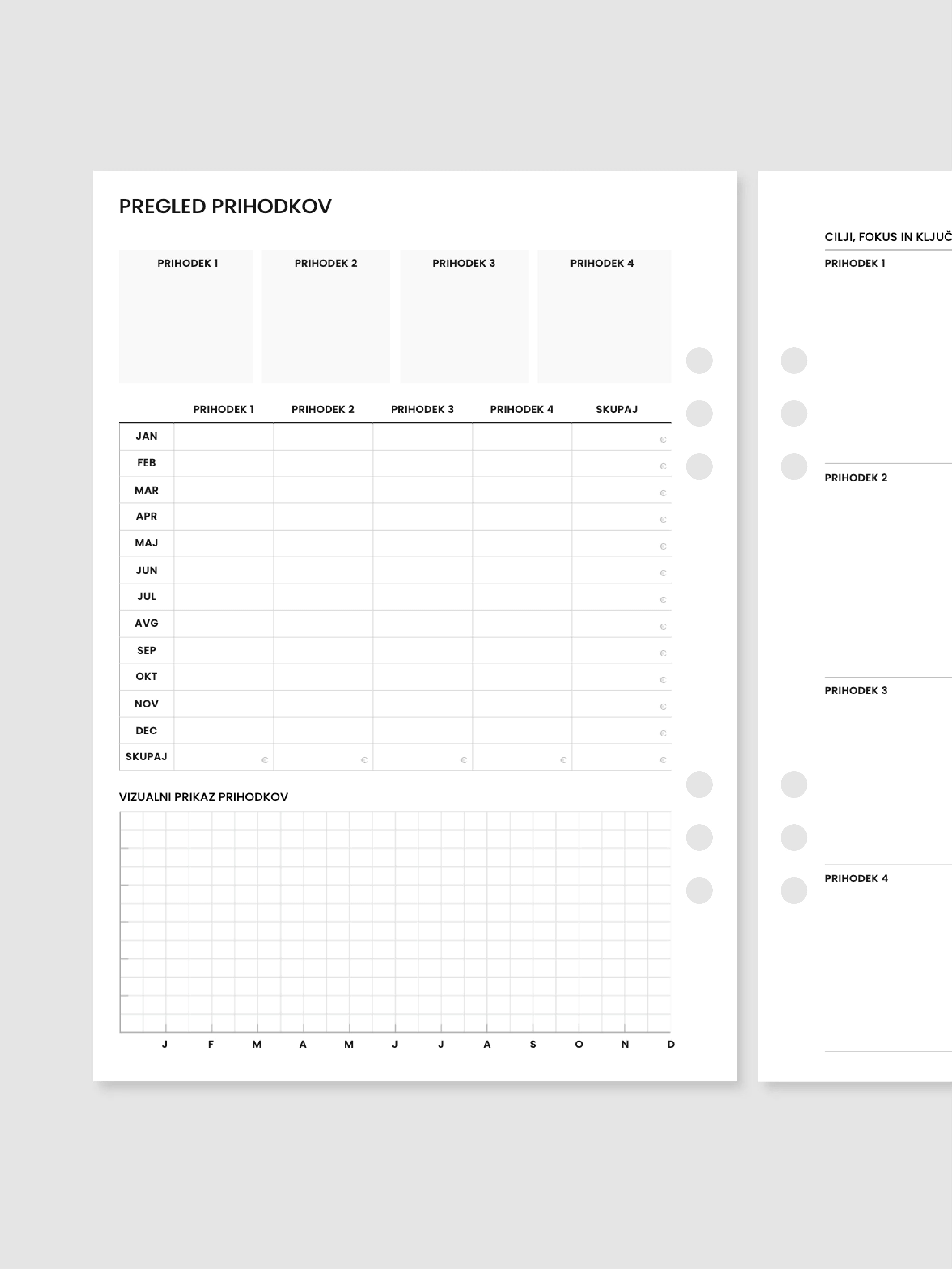 Pregled prihodkov | A5 inserti