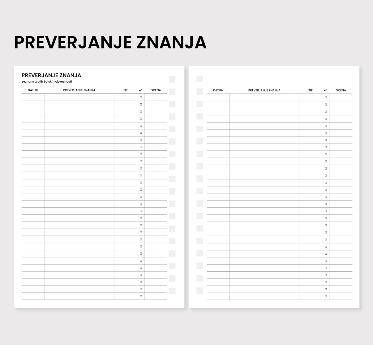 Preverjanje znanja