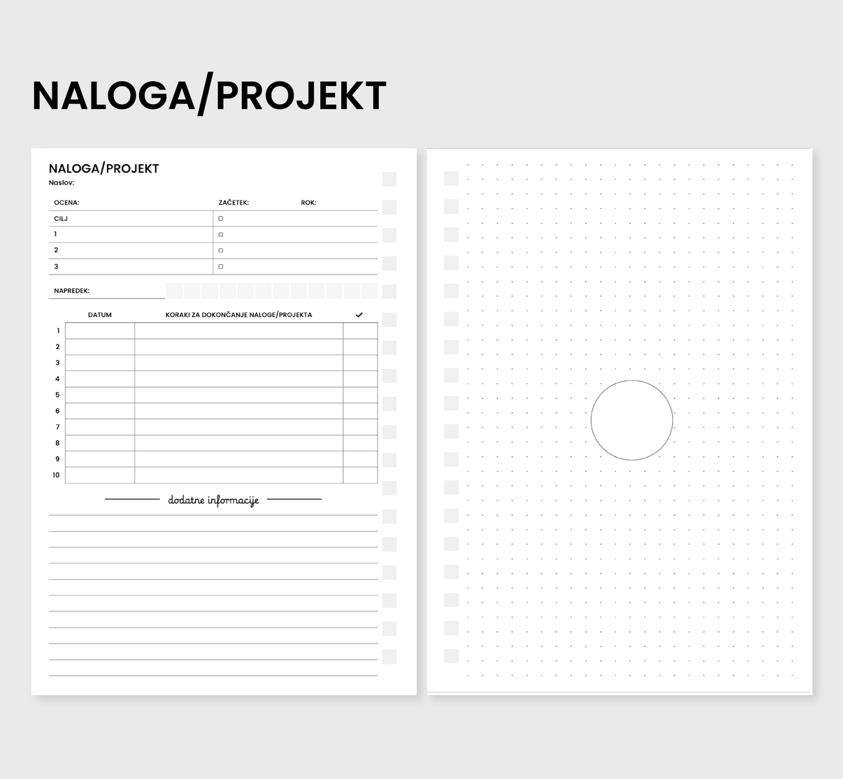 Naloga/projekt