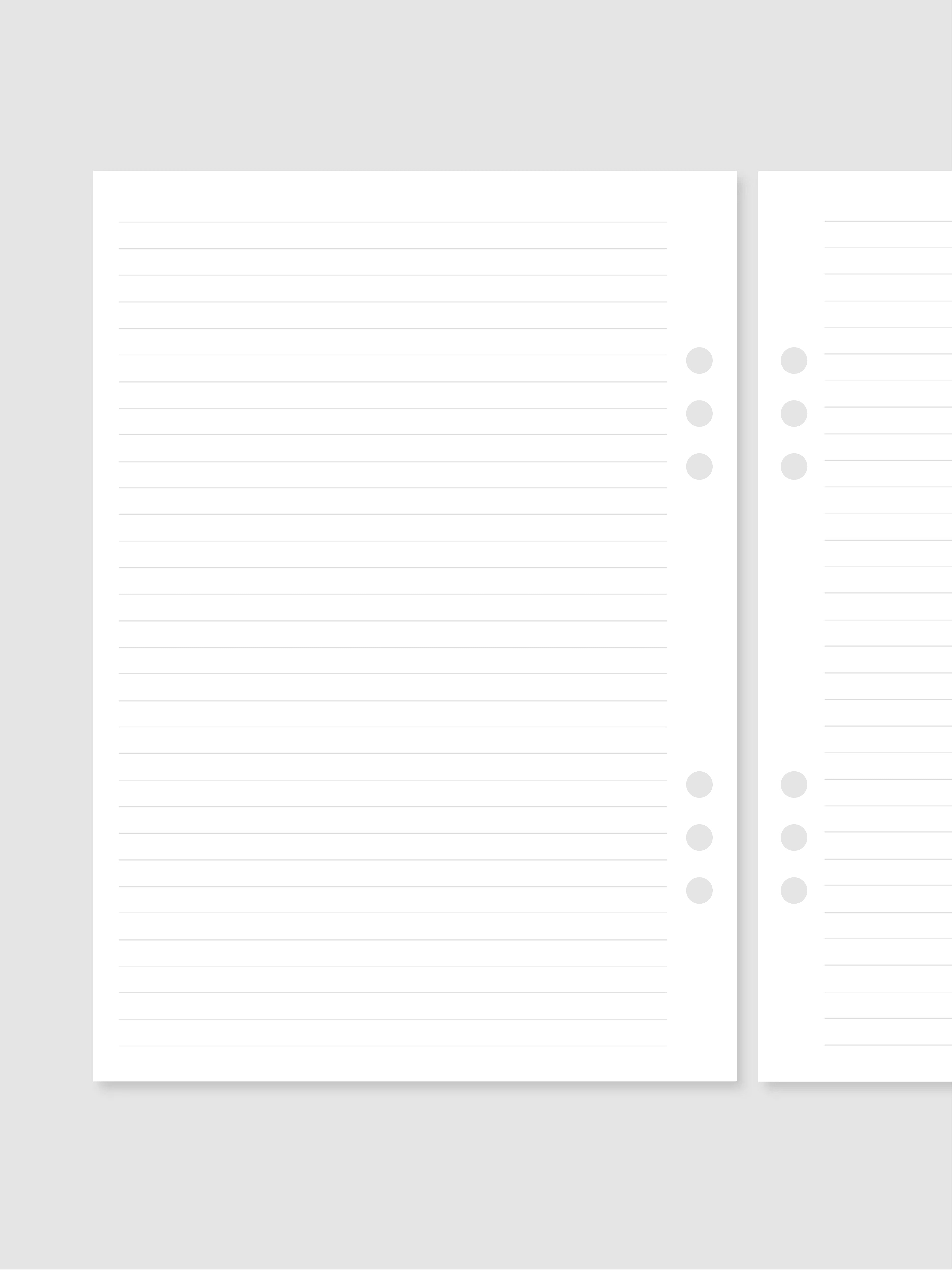 Zapiski - črtasti | A5 inserti